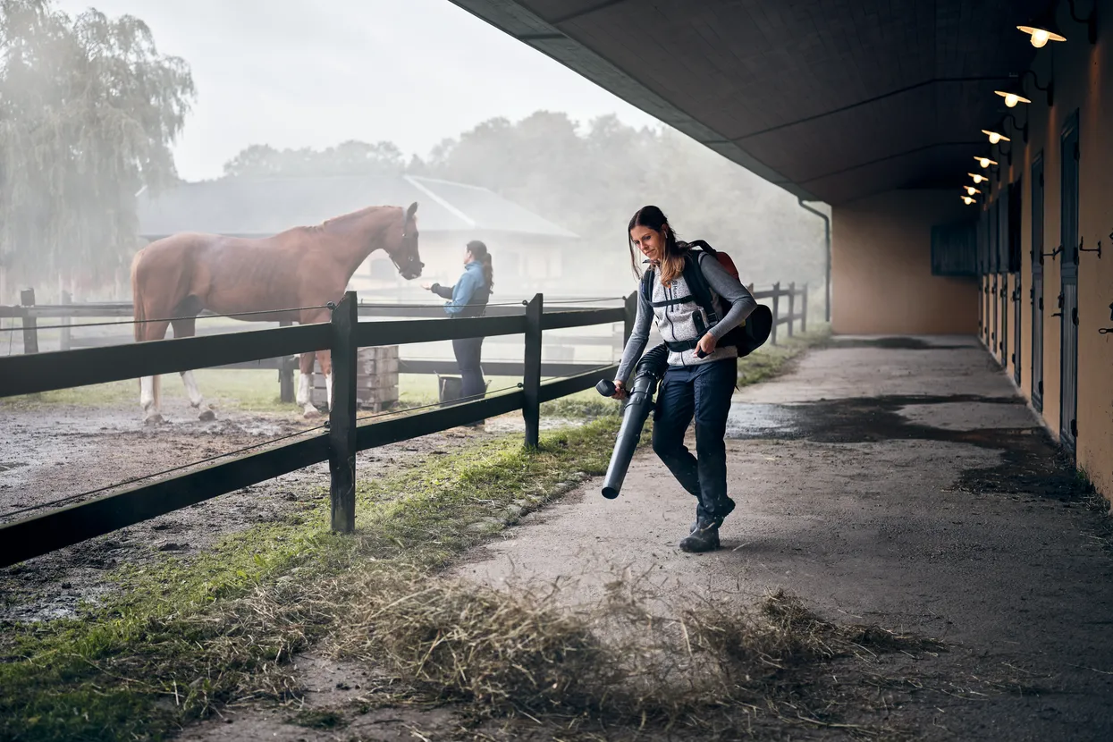 Bladblazer paarden 