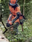 Husqvarna 550 XP® Mark II